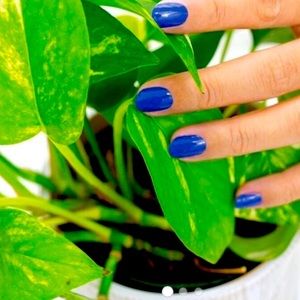 HP 3/16 Color Street Greeking Out